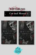 Cat and Mouse